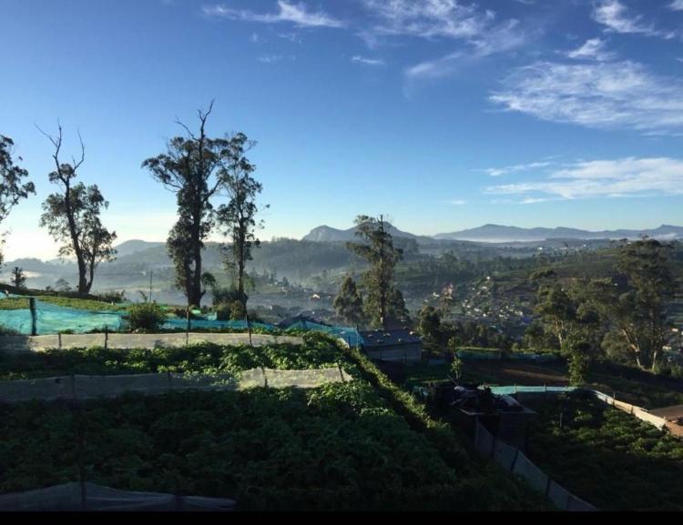 The Paulwood Home Cabin Nuwara Eliya Exteriör bild